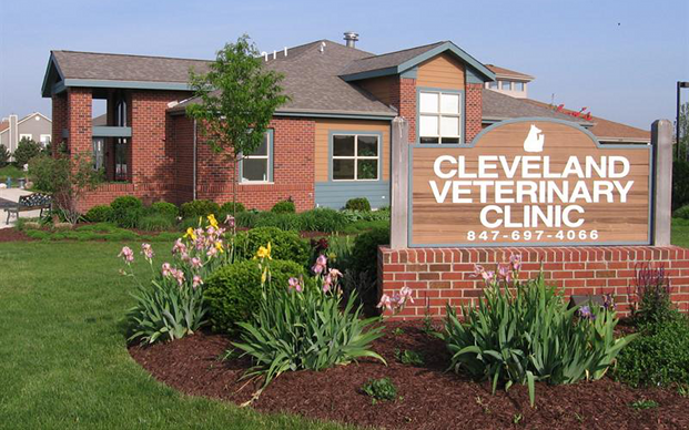 Home | Veterinarian in South Elgin, IL | Cleveland Veterinary Clinic